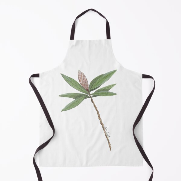 Item preview, Illustration of Callistemon Sapling- flower in watercolor designed and sold by Malu-Iriarte.
