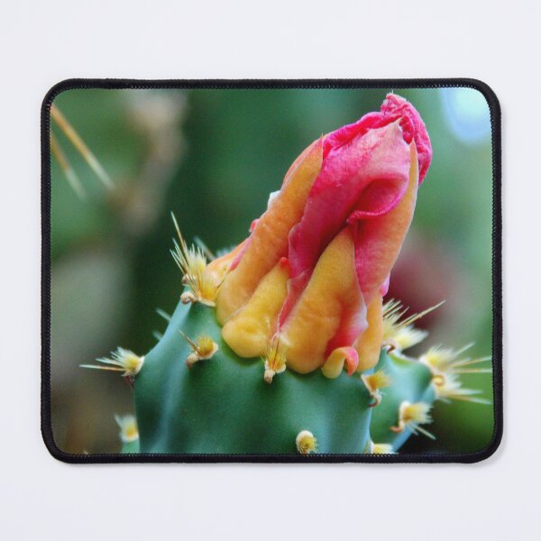 Item preview, Pink Bud Of A Cactus Flower designed and sold by branaghbel.