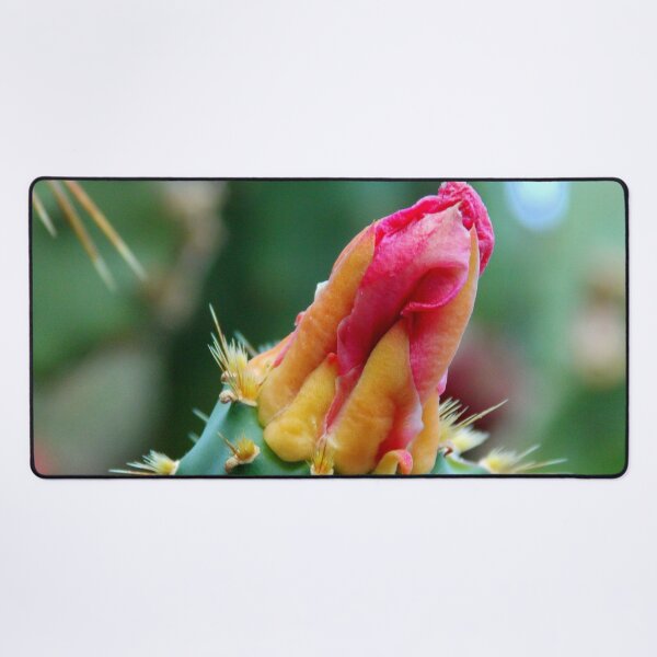 Item preview, Pink Bud Of A Cactus Flower designed and sold by branaghbel.