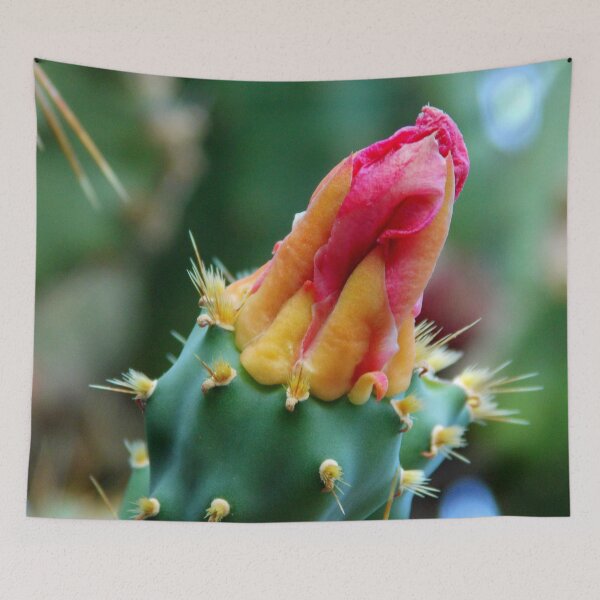 Item preview, Pink Bud Of A Cactus Flower designed and sold by branaghbel.