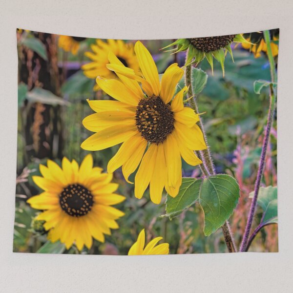 Item preview, A Bird's Garden designed and sold by alanathrower.
