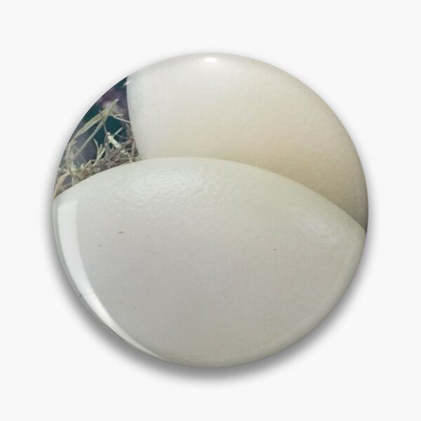 Item preview, Pâques, Easter with ostrich egg by Saint-Tropez BIPHOTO designed and sold by BIPHOTONEWS.