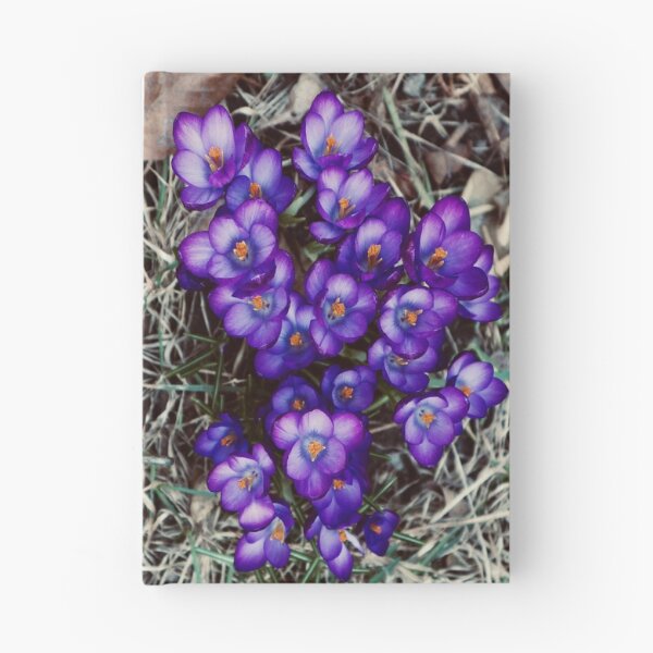 Item preview, Crocus in Bloom 2021 designed and sold by Angela Fazio.