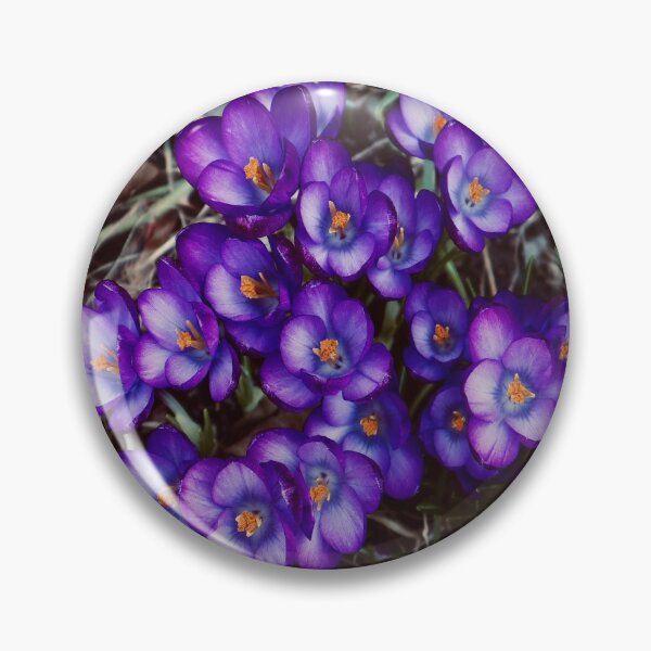 Item preview, Crocus in Bloom 2021 designed and sold by Angela Fazio.