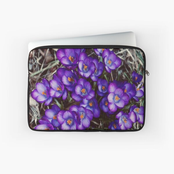 Item preview, Crocus in Bloom 2021 designed and sold by Angela Fazio.
