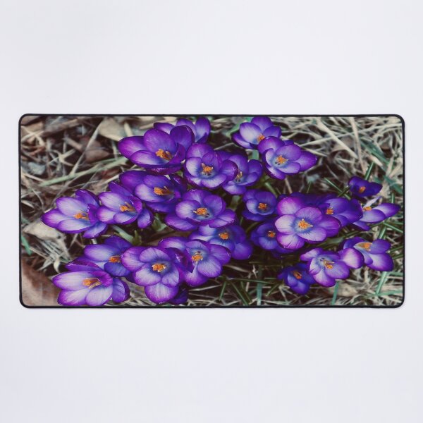 Item preview, Crocus in Bloom 2021 designed and sold by Angela Fazio.