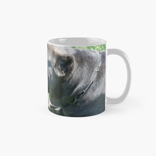 Item preview, Cane Corso designed and sold by ritmoboxers.