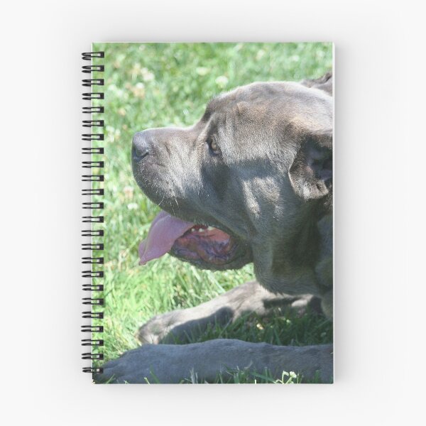 Item preview, Cane Corso designed and sold by ritmoboxers.