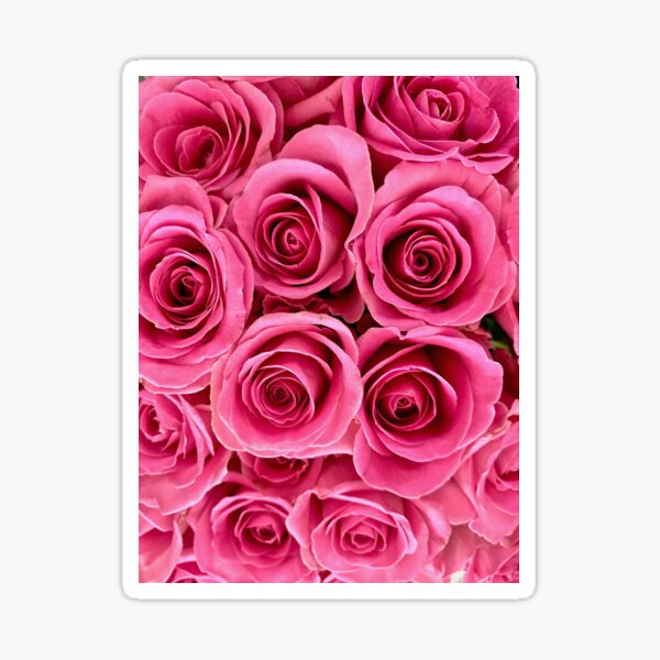 Roses Sticker