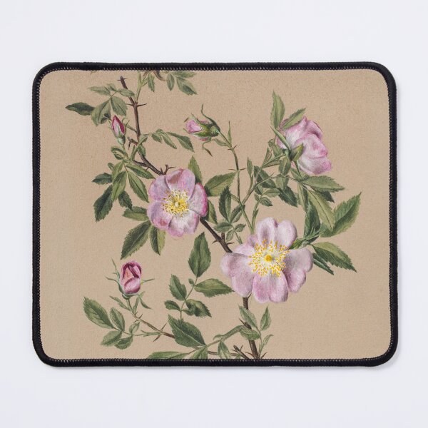 Item preview, Mauve Watercolour Blooms, Rose Mallow designed and sold by Yeldiz.