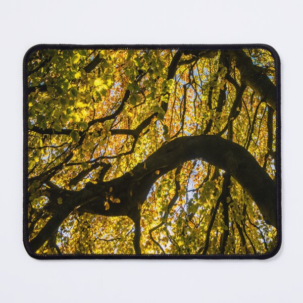 Item preview, Autumn Sprawl - Yellow Leaves  designed and sold by Lostlogo.