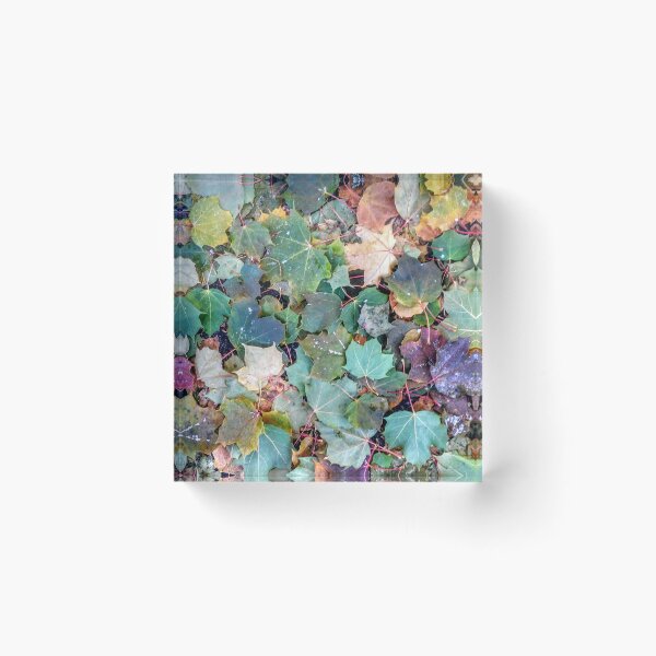 Item preview, Early Autumn  designed and sold by EleMcKay.