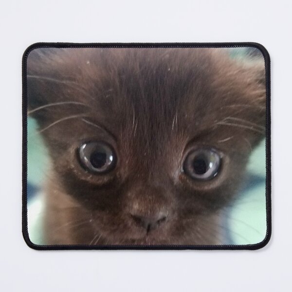 Item preview, Black cat magic with mini panther Hershey designed and sold by nxxbliss.