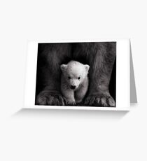 Ursa Major & Minor Greeting Card