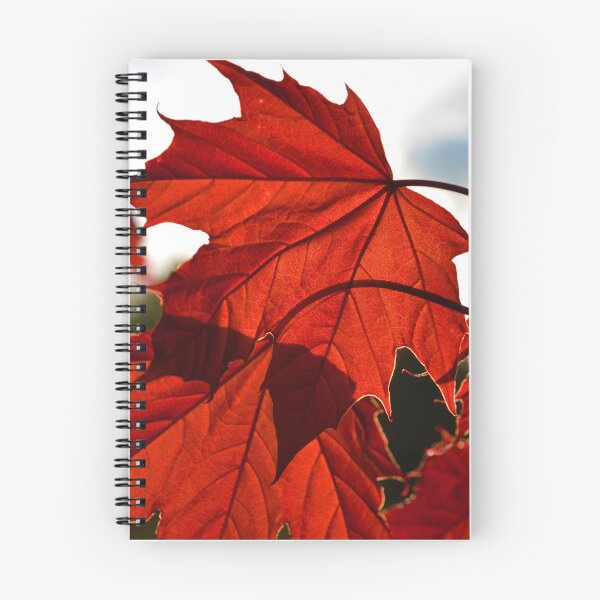 Item preview, Maple designed and sold by enigmaticprints.