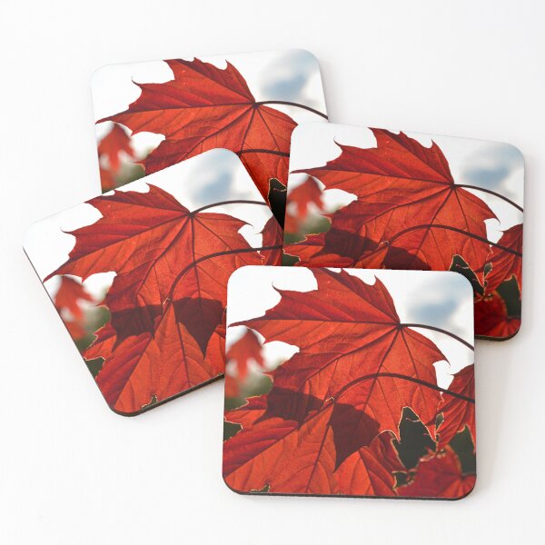 Item preview, Maple designed and sold by enigmaticprints.