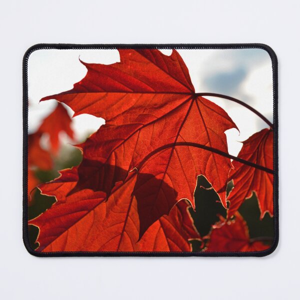 Item preview, Maple designed and sold by enigmaticprints.