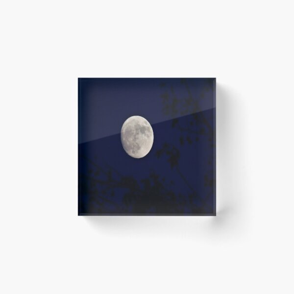 Item preview, Moon Amidst Blue Night designed and sold by VividExhibition.