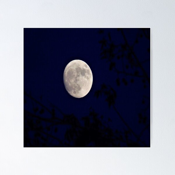 Item preview, Moon Amidst Blue Night designed and sold by VividExhibition.