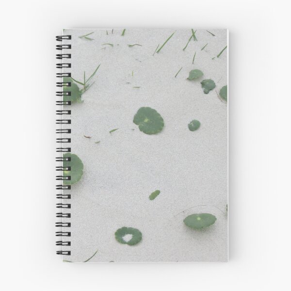 Artikelvorschau, Lily Pads am Strand entworfen und verkauft von Susie Cunningham.