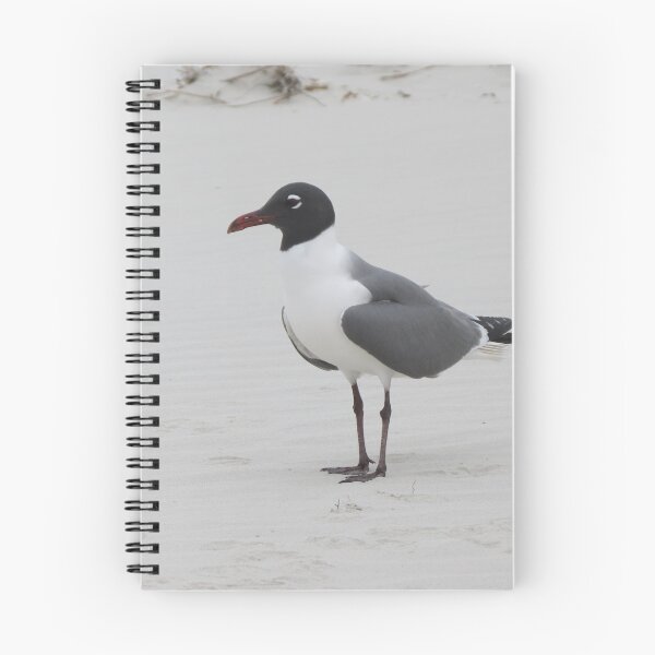 Item preview, Sea gull on the beach designed and sold by Susie Cunningham.