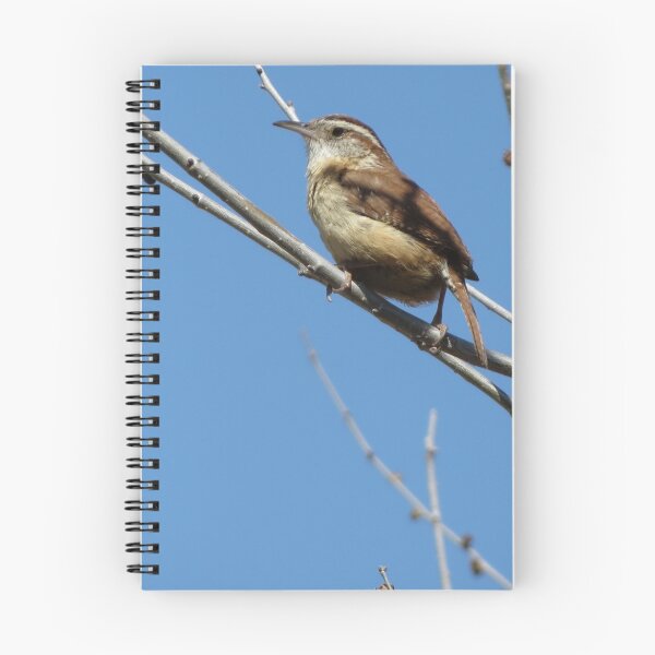 Item preview, Small bird on tree limb designed and sold by Susie Cunningham.