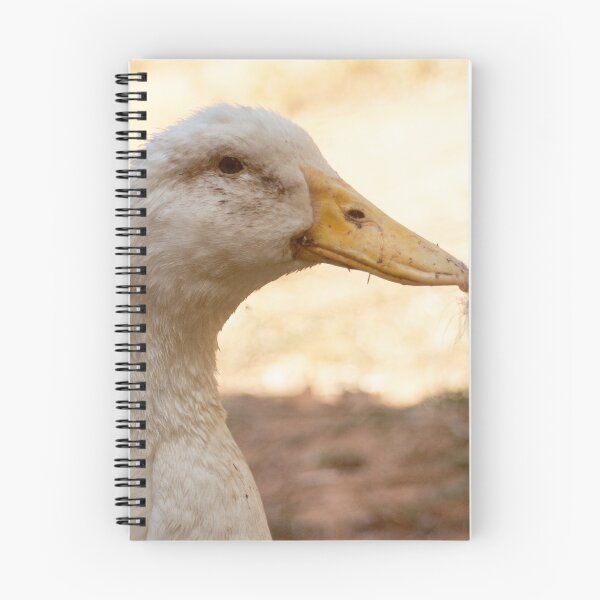 Item preview, Dirty Duck designed and sold by AllanDavisJr.