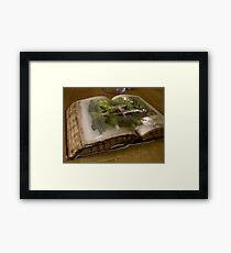 The Picture Book Framed Print