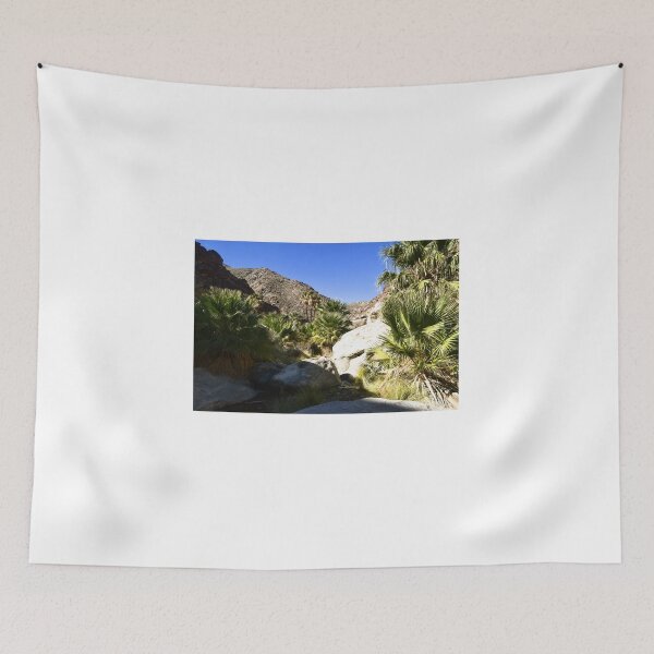Item preview, Borrego Palm Canyon, Parque Estatal Anza-Borrego Desert, California designed and sold by Mike Kunes.