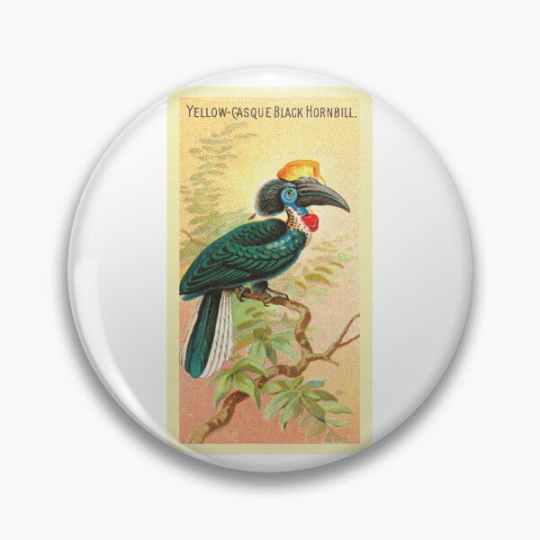 Item preview, Yellow-Casque Black Hornbill designed and sold by HotelAlfaPapa.