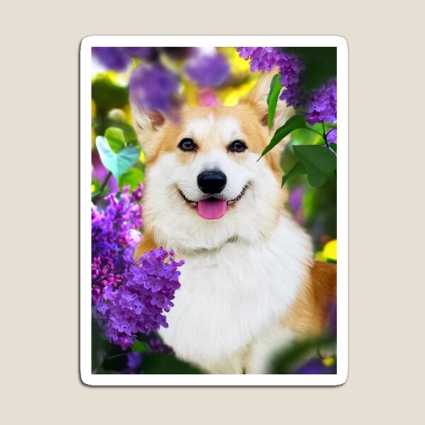 Aperçu de l'œuvre Newton le chien corgi dans les lilas créée et vendue par orionlodubyal.
