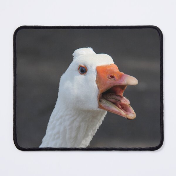 Item preview, Hey You! Go Away! designed and sold by heatherfriedman.