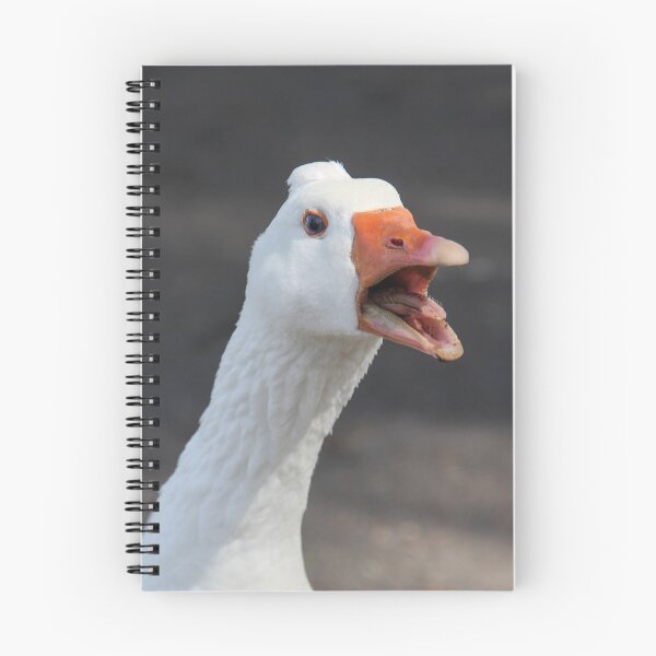 Item preview, Hey You! Go Away! designed and sold by heatherfriedman.