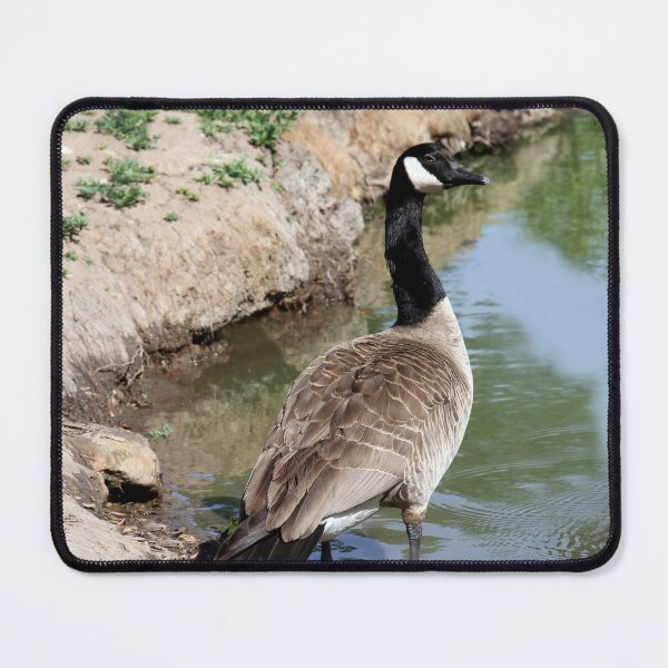 Item preview, Follow Me! designed and sold by heatherfriedman.