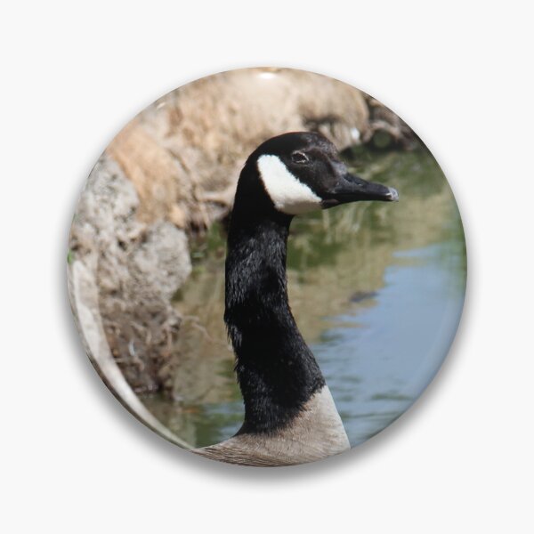 Item preview, Follow Me! designed and sold by heatherfriedman.
