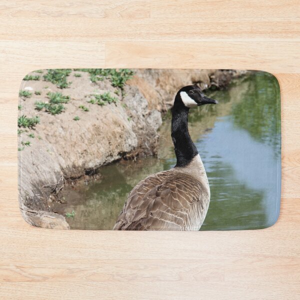Item preview, Follow Me! designed and sold by heatherfriedman.