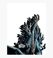 Back to life Photographic Print