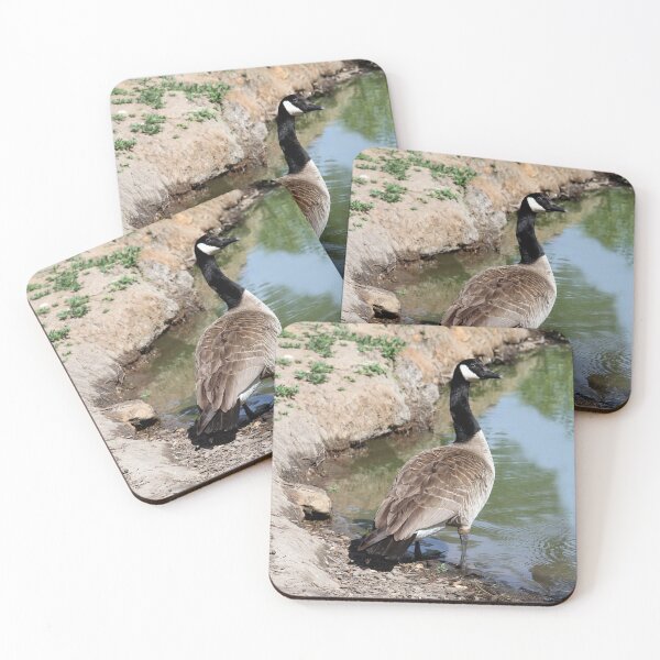 Item preview, Follow Me! designed and sold by heatherfriedman.