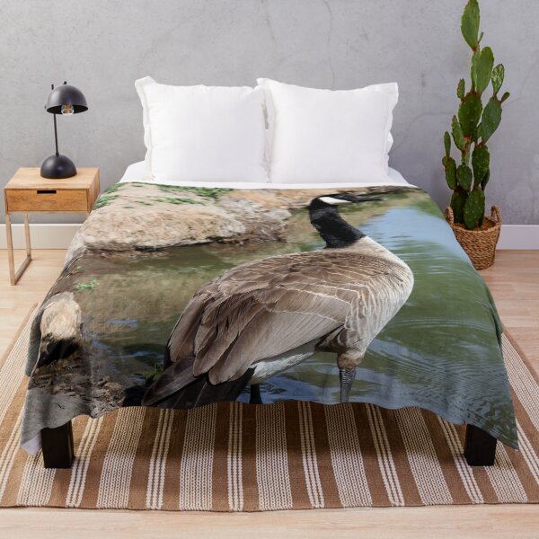 Item preview, Follow Me! designed and sold by heatherfriedman.