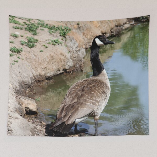 Item preview, Follow Me! designed and sold by heatherfriedman.