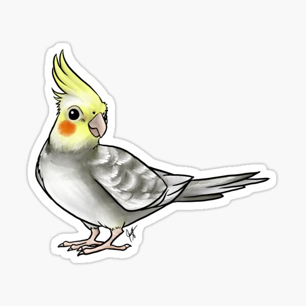 Cockatiel - Pied Sticker