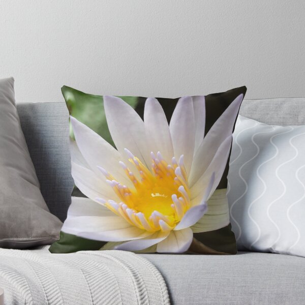 Item preview, Beautiful Water Lily. designed and sold by LOJIQ.