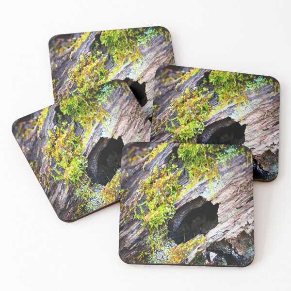 Item preview, Mossy Log designed and sold by VividExhibition.