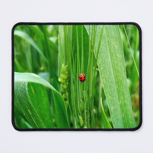 Item preview, Ladybug on green wheat - Nature photography - giftcard, art board print, Hardcover Journals, Wood & Canvas Mounted Prints designed and sold by SpiralStairShop.