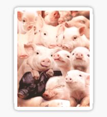 Pigs Sticker