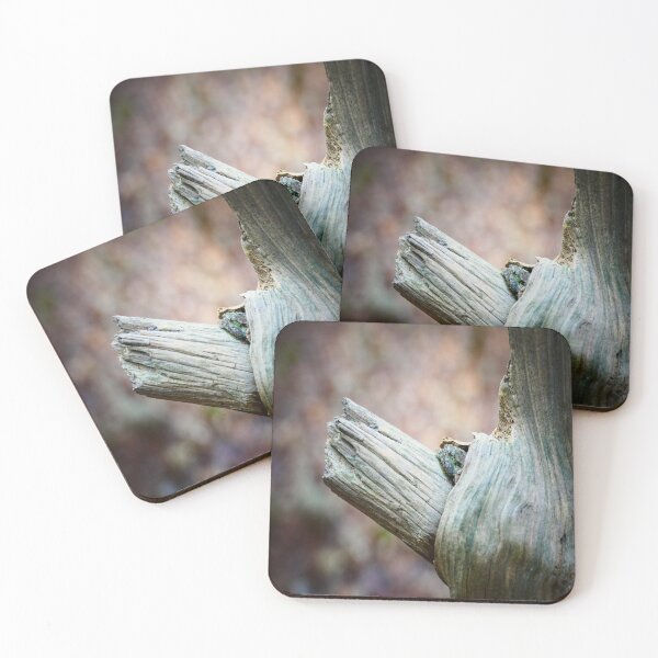 Item preview, Old Tree designed and sold by VividExhibition.