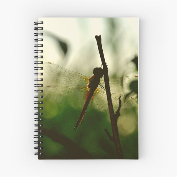 Item preview, Mr. Dragonfly, iPhone Cases & Skins, Galaxy Cases & Skins, iPhone Wallet, Scarves, iPad Skin, ards, Canvas Print, Poster, Framed Art Print Defaults, Art Print, Photographic Print, Metal Print', designed and sold by SpiralStairShop.