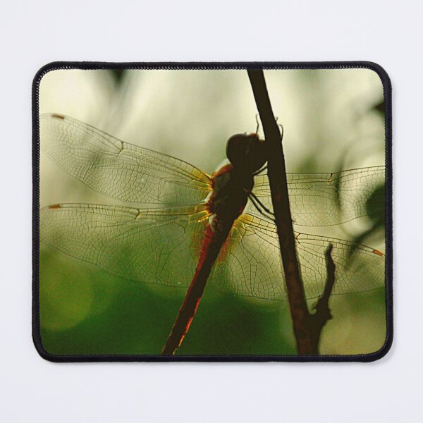 Item preview, Mr. Dragonfly, iPhone Cases & Skins, Galaxy Cases & Skins, iPhone Wallet, Scarves, iPad Skin, ards, Canvas Print, Poster, Framed Art Print Defaults, Art Print, Photographic Print, Metal Print', designed and sold by SpiralStairShop.