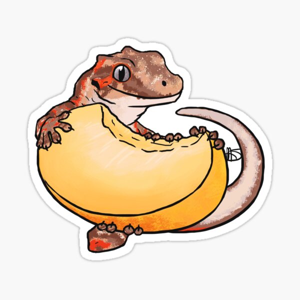 Item preview, Apricot Gargoyle Gecko designed and sold by Sparradile.