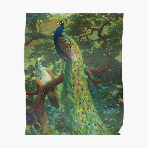 Peacock Chinoiserie Poster
